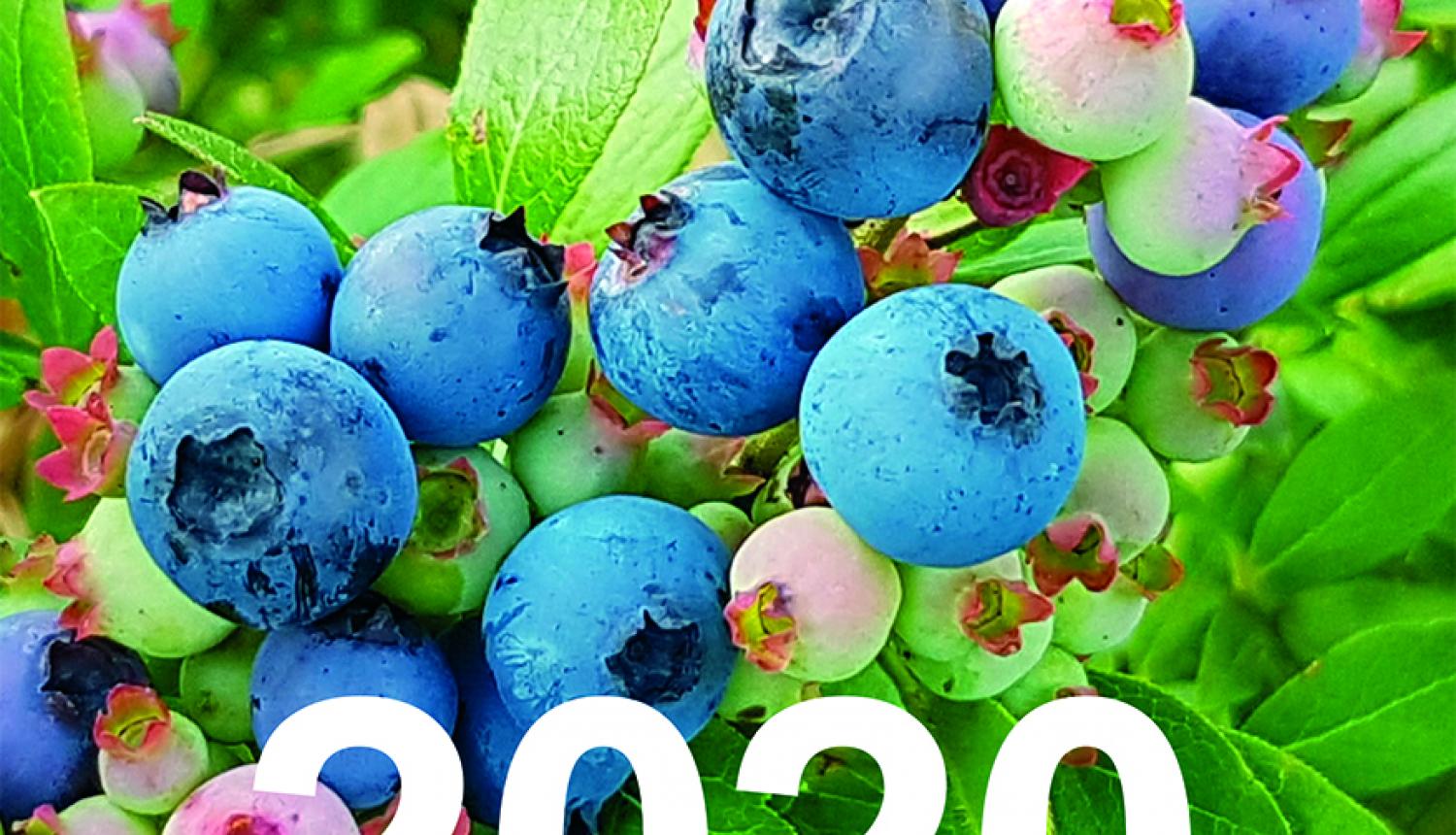 Izdots "Latvijas Republikā reģistrēto augu aizsardzības līdzekļu saraksts 2020"
