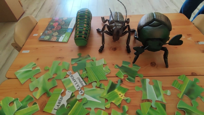 ūz galda kukaiņu maketi, puzle un bērenu grāmatiņa