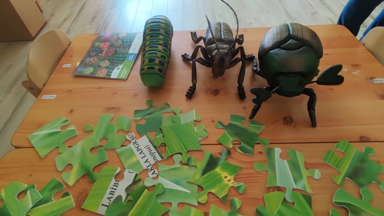 ūz galda kukaiņu maketi, puzle un bērenu grāmatiņa