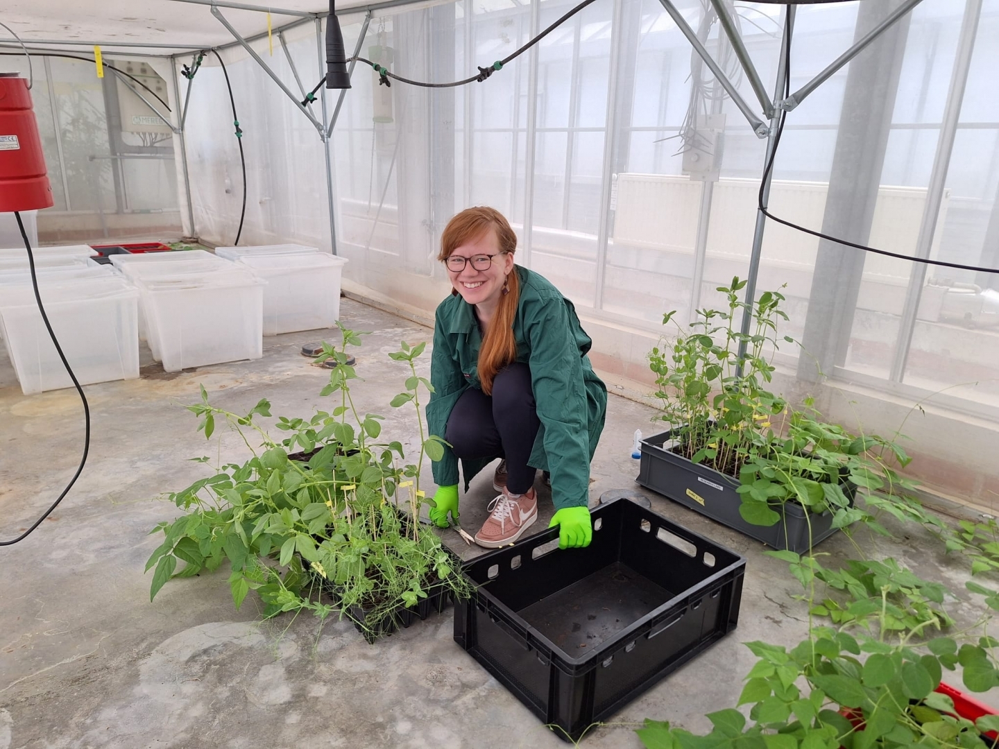 Laura Celma ar augu paraugiem laboratorijas telpās